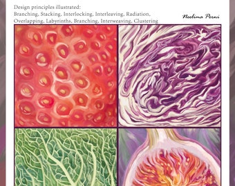 Art tutorial - Patterns in nature-  fruits and vegetables| 25 page pdf document |Instant download | U.S Letter size for personal use