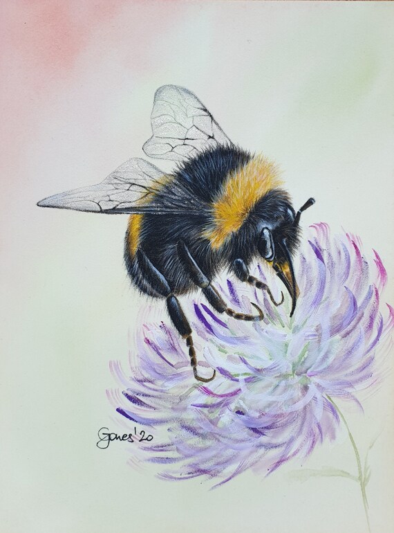 diptych pencil and watercolour drawing of a bumble bee pencil on linen drawing bee picture Bumble bee drawing on canvas