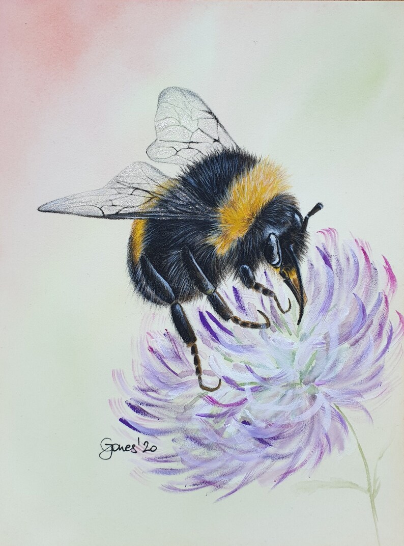 Busy Bumblebee, Original Bee Drawing in Coloured Pencils and ...