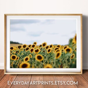 May include: A framed print featuring a field of sunflowers under a cloudy sky. The sunflowers are in full bloom, with bright yellow petals and dark brown centers. The print is in a light-colored wooden frame, and the text "EVERYDAYARTPRINTS.ETSY.COM" is visible at the bottom.