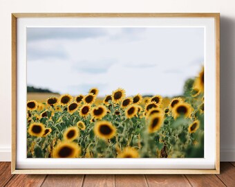 Stampa girasole, Stampa campo girasole, stampa estiva, stampa d'arte girana, arredamento estivo, Arte della parete estiva, Arte della parete del fiore del sole, stampa gialla