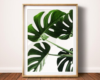 Monstera Leaf Print, Green Leaf Wall Art, Digital Download, Art Print, Exotic Plant, Monstera Photo, Tropical Leaves Print, Leaf Printable
