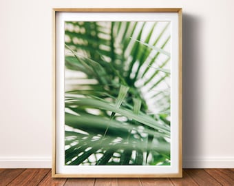 Plant Print, Green Leaf Print, Leaf Wall Art, Digital Download, Plant Art, Plant Photo, Palm Leaves Print, Leaf Printable, Green Wall Art