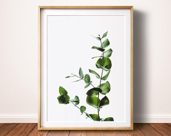 Eucalyptus Leaf Print, Leaf Wall Art, Printable Poster, Eucalyptus Leaves, Plant Art, Botanical Plant Print, Silver Dollar, Digital Download