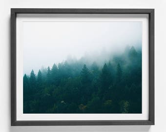 Forest stampa, stampa di alberi di foresta, foresta fotografia, foresta parete arte stampabile, natura stampa, Oggettistica per la casa, ufficio arredamento, Woodland, verde