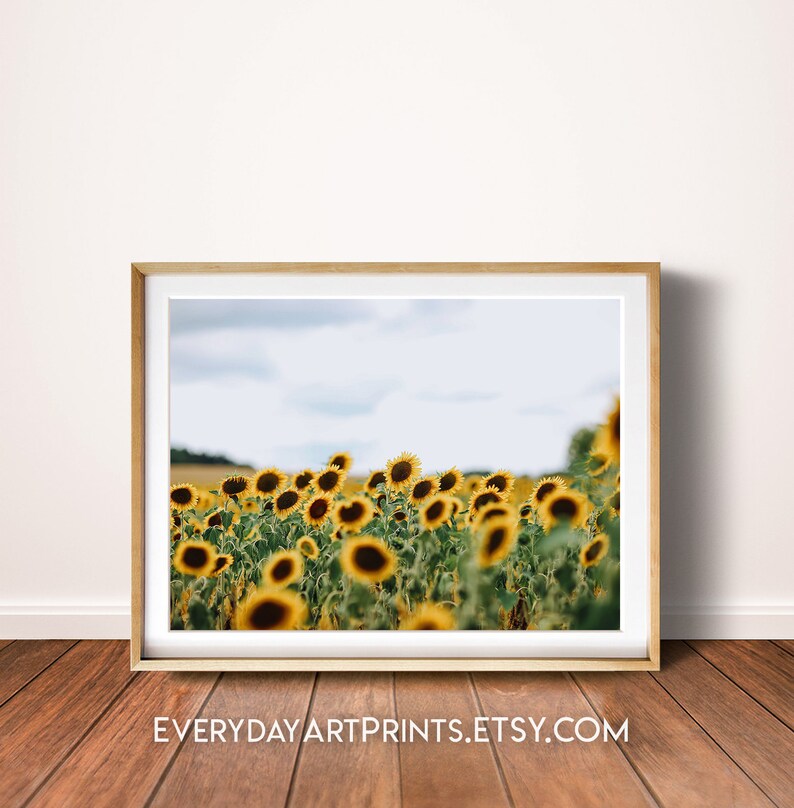 May include: A framed print featuring a field of sunflowers under a cloudy sky. The sunflowers are in full bloom, with bright yellow petals and dark brown centers. The print is in a light-colored wooden frame, and the text "EVERYDAYARTPRINTS.ETSY.COM" is visible at the bottom.