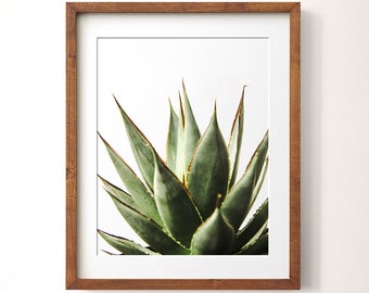 May include: A framed print featuring a close-up of a green succulent plant with sharp, pointed leaves. The plant has a natural, organic appearance, with a mix of green and brown tones. The frame is made of dark brown wood. The website address is visible at the bottom.