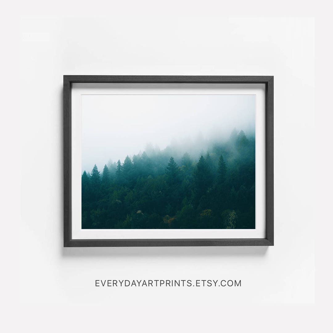 Forest Print, Forest Trees Print, Forest Photography, Forest Wall Art ...