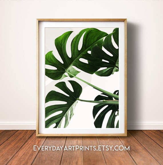 Monstera Leaf Print, Green Leaf Wall Art, Digital Download, Art Print,  Exotic Plant, Monstera Photo, Tropical Leaves Print, Leaf Printable