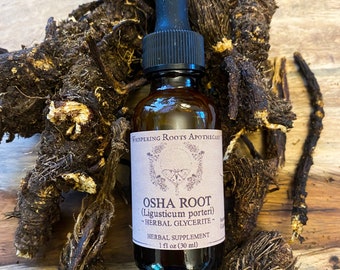 Osha Root (Bear Root) Extract/Glycerite