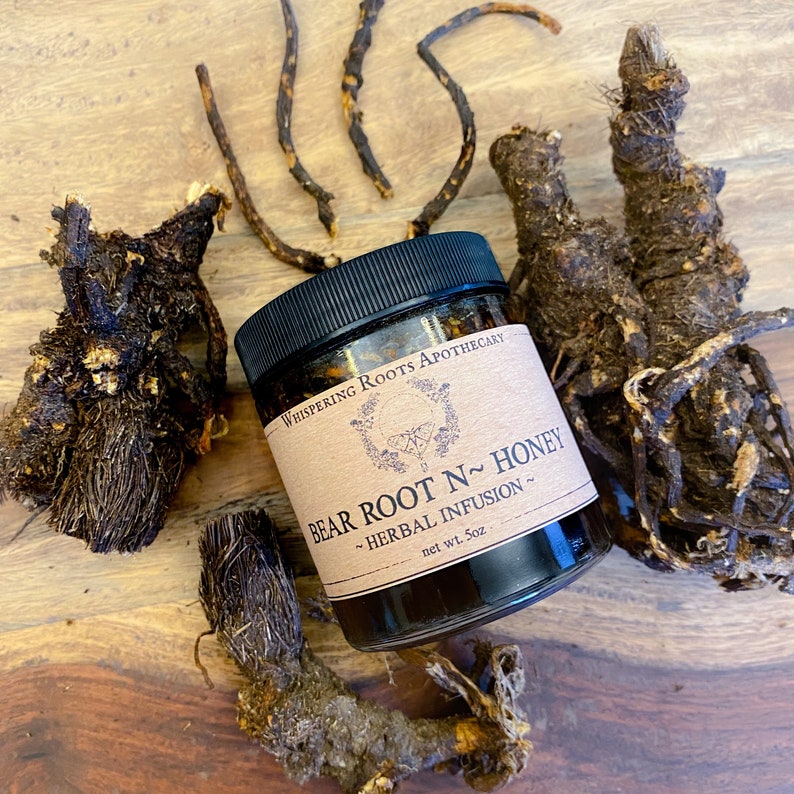 Bear Root n' Honey /Osha Root image 1