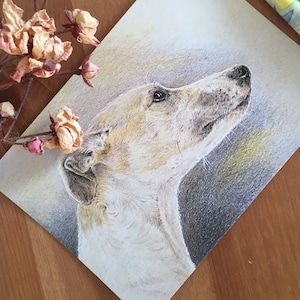 Whippet card Whippet art print card per i proprietari di Whippet regalo per i proprietari di Whippet Whippet art Stampa Whippet