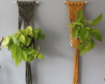 Macrame Plant Hanger / Modern Macrame / Choice of Colours / Boho Decor / Wall Planter /