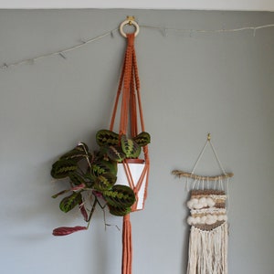 May include: A macrame plant hanger with a terracotta pot and a green plant hanging from a wooden ring on a grey wall. A white and brown woven wall hanging with fringe is on the right side of the image.