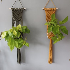 May include: Two macrame plant hangers with green and yellow plants hanging from them. The plant hangers are made of natural fibres and have a bohemian style.