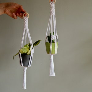 May include: Two white macrame plant hangers with wooden rings, each holding a small potted plant. The plant on the left is in a dark grey pot, and the plant on the right is in a light green pot.