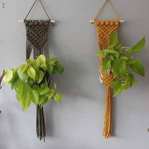 May include: Two macrame plant hangers with wooden dowels, one in olive green and one in mustard yellow, hanging on a gray wall with a potted plant in each.