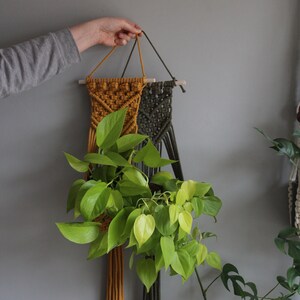 May include: Two macrame plant hangers, one mustard yellow and one dark green, hanging from a wooden dowel. A potted plant with green leaves hangs from the hangers.