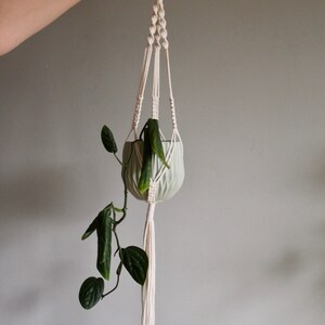 May include: A white macrame plant hanger with a wooden ring at the top. A green plant is hanging in a light green pot.