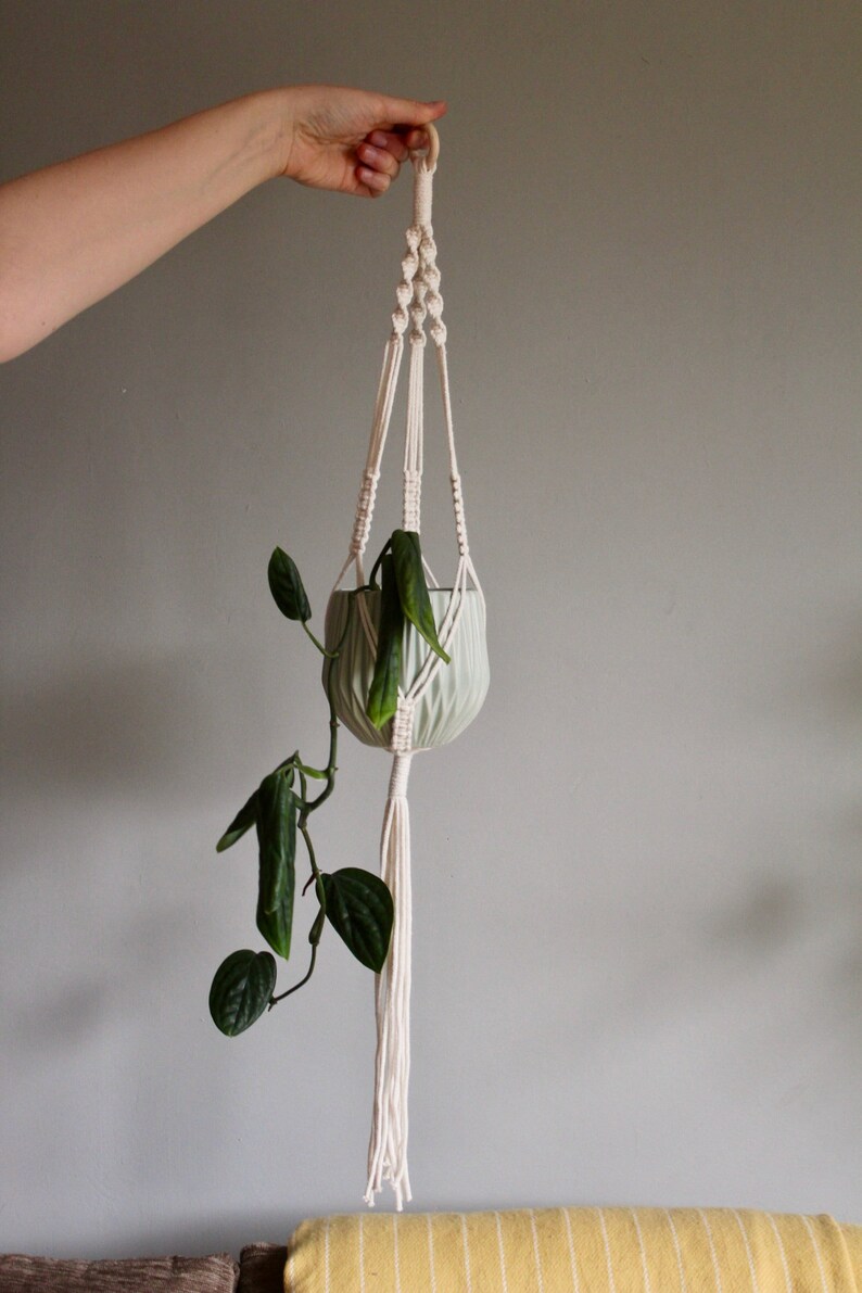 May include: A white macrame plant hanger with a wooden ring at the top. A green plant is hanging in a light green pot.