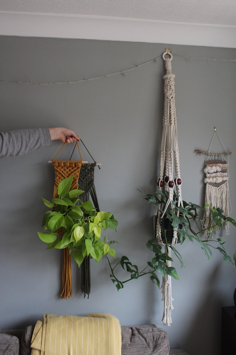 May include: Two macrame plant hangers with wooden dowels, one in mustard yellow and green, the other in white with brown beads. Both are hanging on a gray wall with string lights. A green plant is hanging from each.