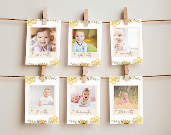 First Bee Day Milestone Photos | Editable Canva Template | Sweet as a Bee 12 Months Photo Display | Printable Bee Birthday Decor