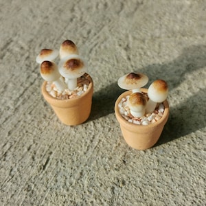 Clay muchroom flowers Miniature Potted handmade for gifts and decorate doll house gifts for him gifts for her birthday new years
