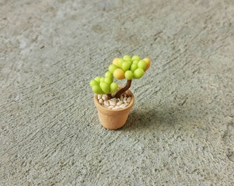 Miniature clay cactus Potted succulent plant mini cacti handmade gifts for him gifts for her kawaii for decorate doll house decor home.