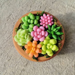 Clay Cactus Miniature Potted plant small mini cacti handmade gifts for him gifts for her kawaii for decorate doll house decor home.