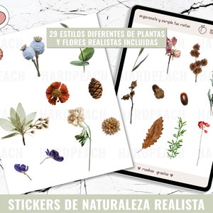 Puede incluir: Un conjunto de 29 pegatinas imprimibles con ilustraciones realistas de plantas y flores. Las pegatinas son perfectas para agregar un toque de naturaleza a los planificadores, diarios y otros proyectos de manualidades.
