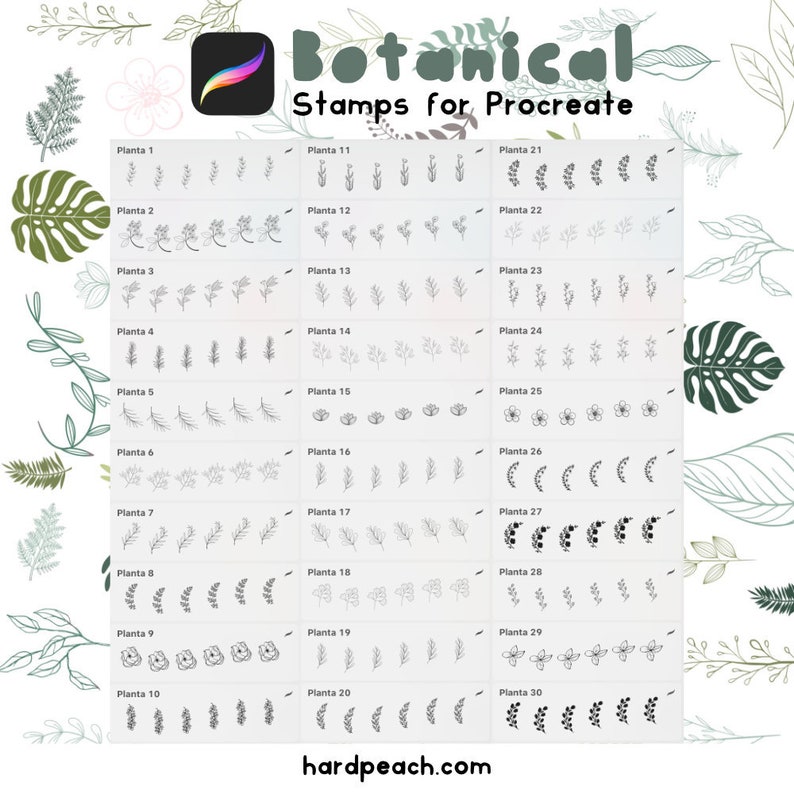88 Procreate Botanical Stamps Procreate Leaves Stamps for Procreate ...