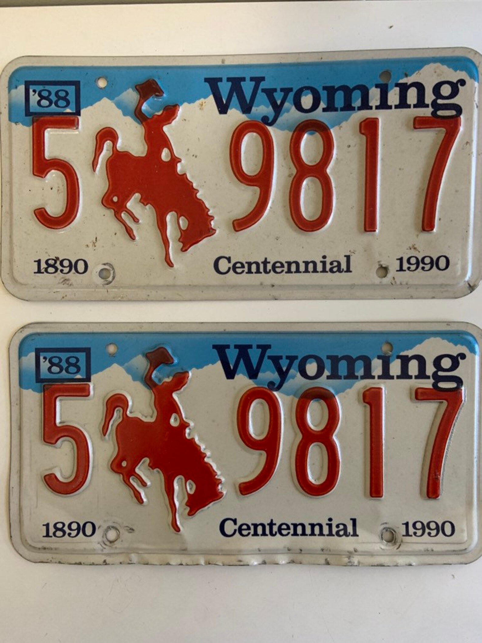 Wyoming License Plates Pair of 18901990 Centennial Tags WY Etsy