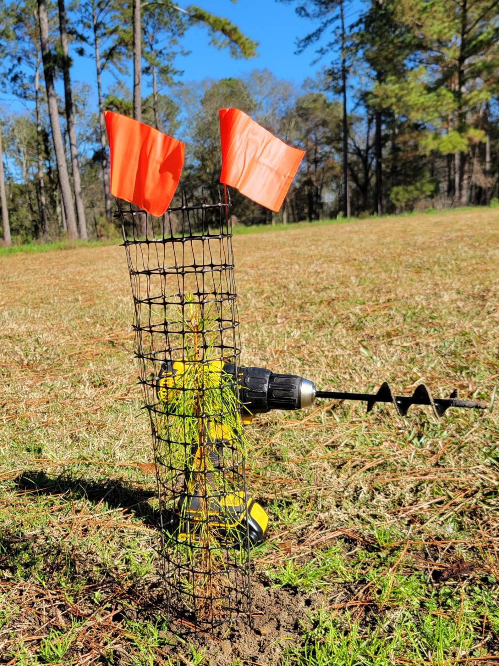 100 Tree Seedling Protectors Heavy Vinyl Mesh Cylinder Etsy
