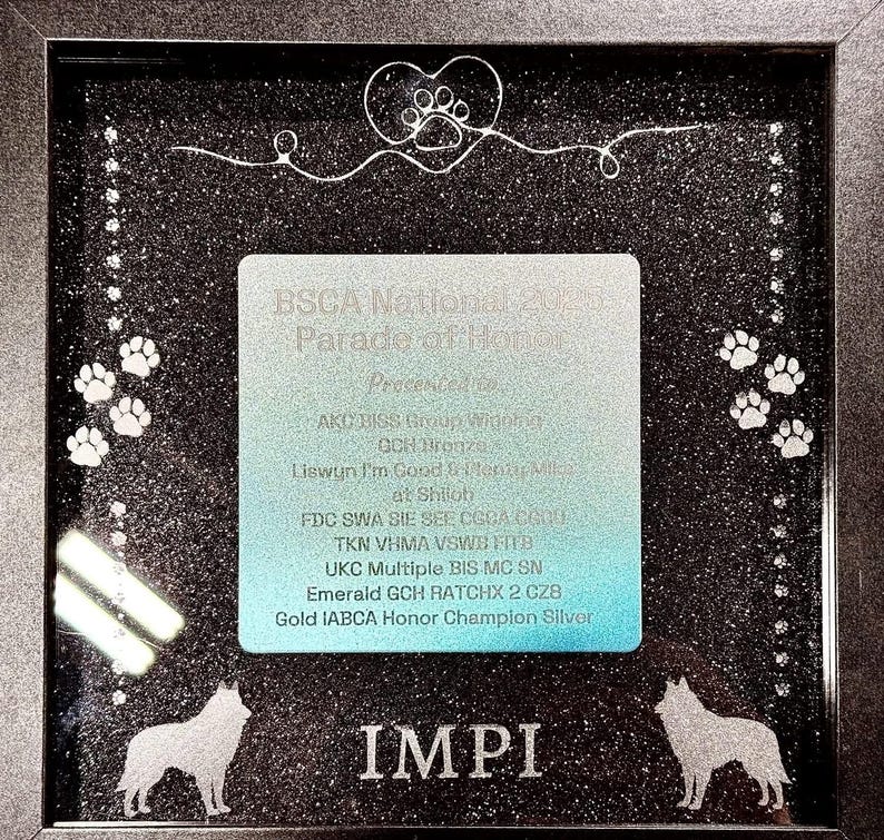 Dog Show Award Shadowboxes, Personalized Awards for Parades and ...