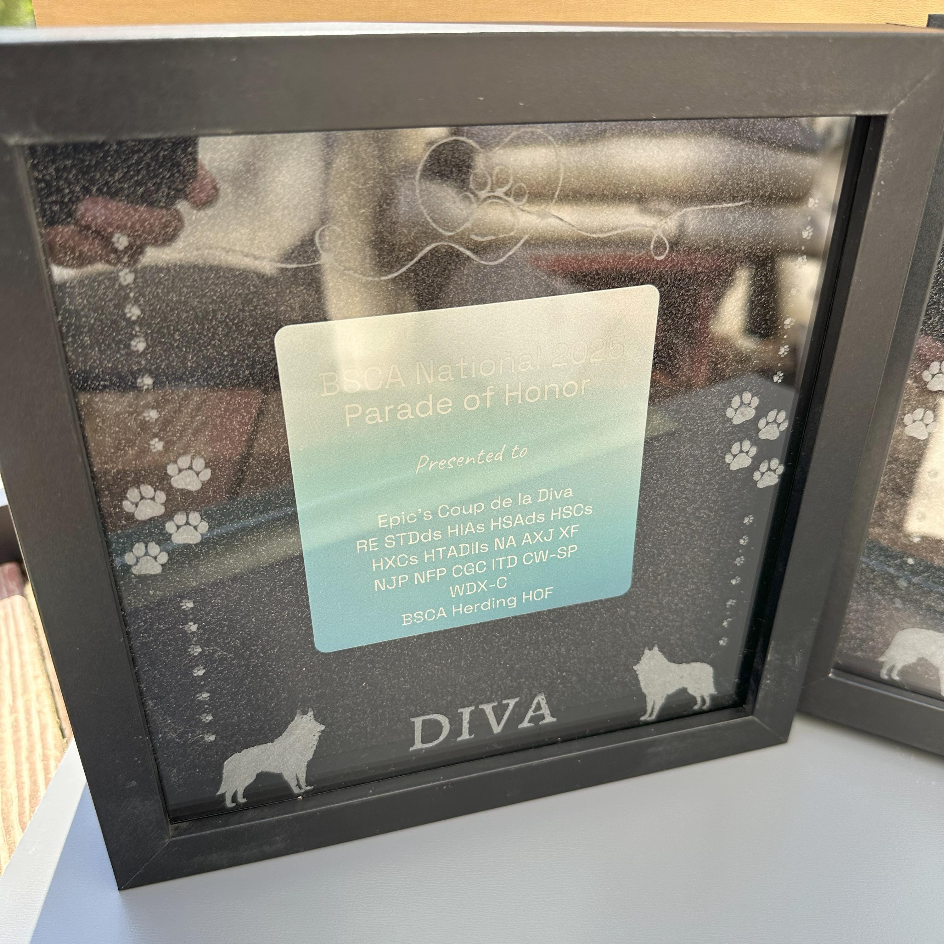 Dog Show Award Shadowboxes, Personalized Awards for Parades and ...