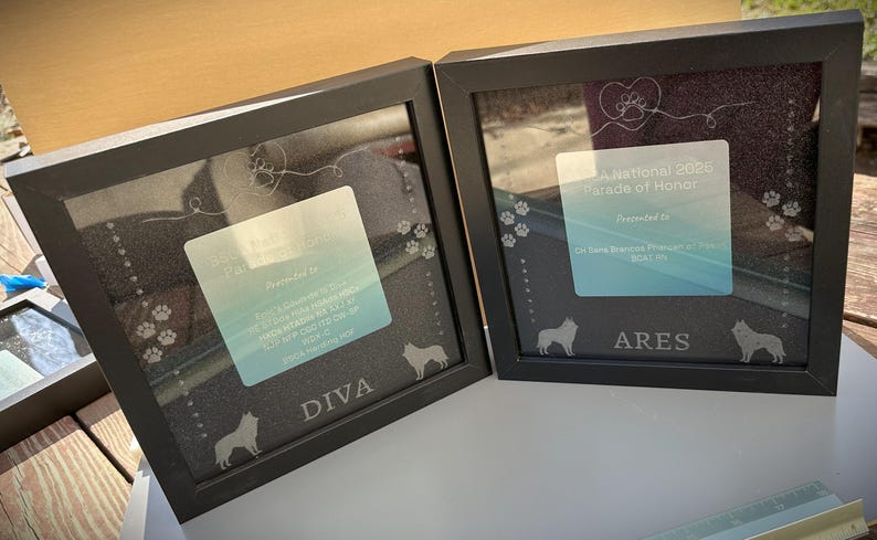 Dog Show Award Shadowboxes, Personalized Awards for Parades and ...