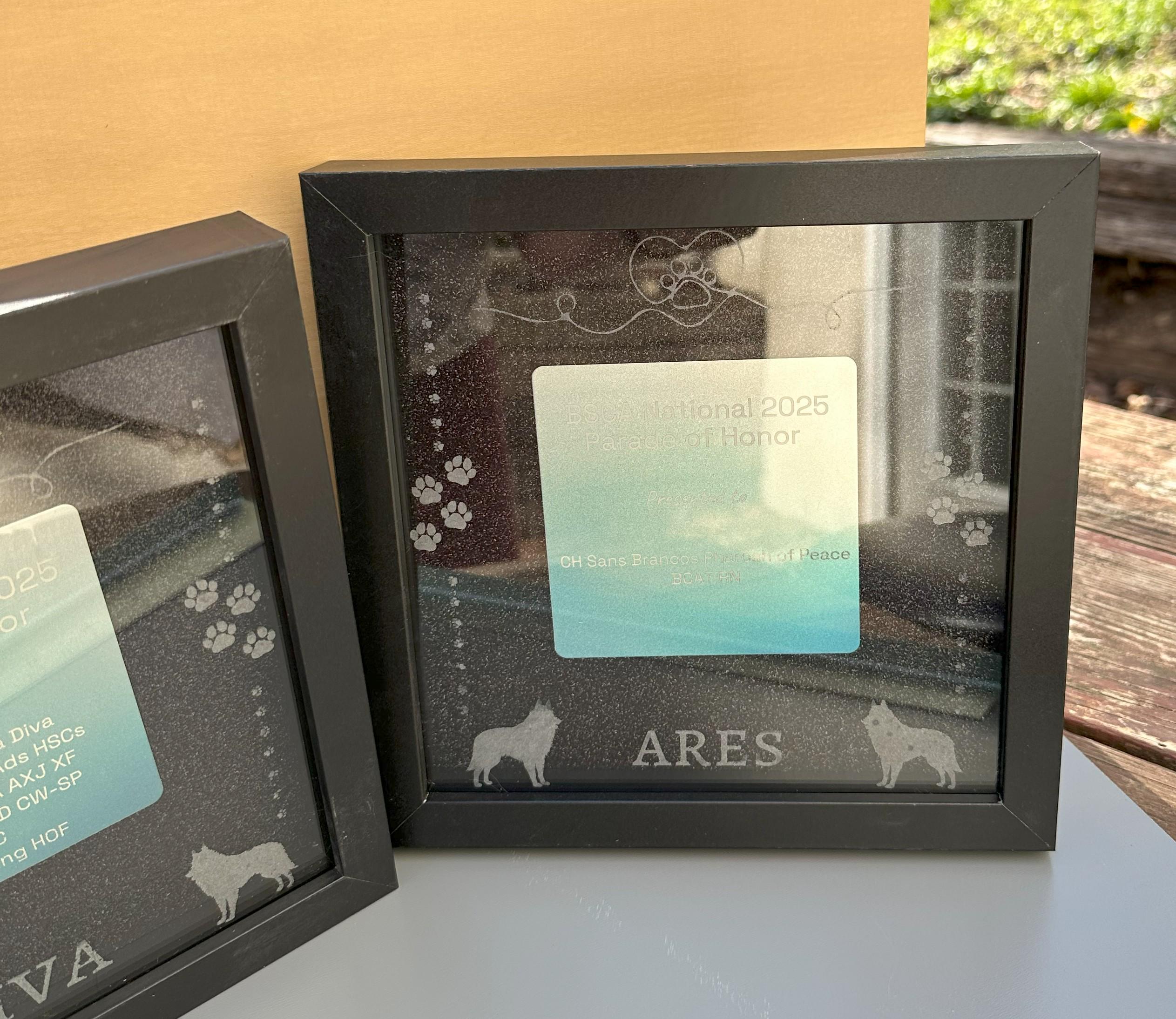 Dog Show Award Shadowboxes, Personalized Awards for Parades and ...