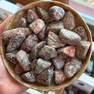 Leopard Skin Jasper Tumble Stone | Crystal for Protection, Healing & Shamanic Journey | Animal Totem and Grounding Stone