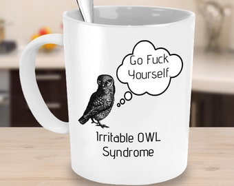 Taza de búho gracioso, Taza de búho de cerámica, Regalo de búho divertido, Regalo para amante del búho, Regalo de búho para la mujer, Regalo del amante del búho, Regalo del juego de palabras, Taza de búho