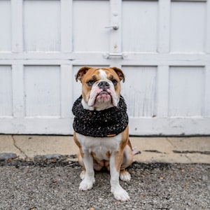 Dog infinity scarf | Infinity cowl for pet | 22&quot; infinty cowl | short cozy scarf | scarf for pets