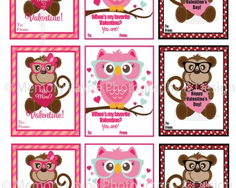 Monkey and Owl Valentines
