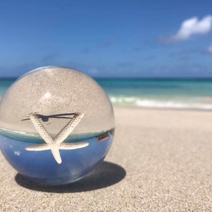 Seestern Strand Jamaika Lensball Foto tropischen sand
