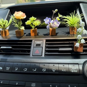 May include: A collection of miniature artificial plants in small wooden cube planters. The plants include succulents, flowers, and greenery, arranged on a car dashboard. The dashboard has air vents and control buttons.