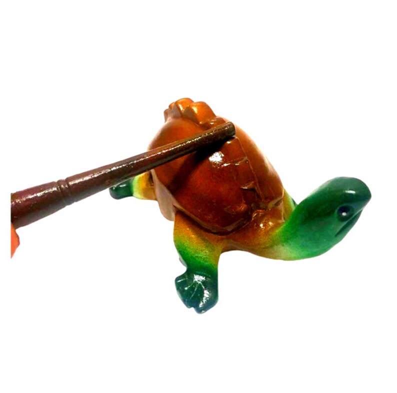 turtle toy time
