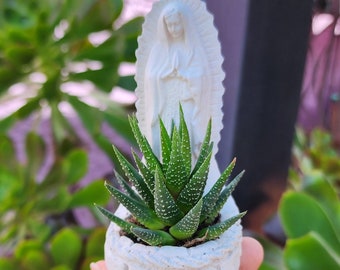 Virgencita Planter Magnet