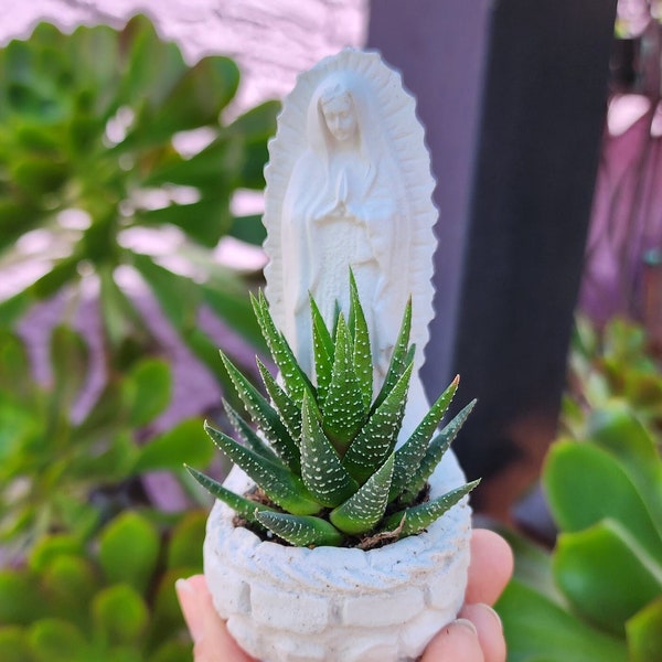 Virgencita Planter Magnet