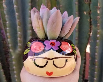 FRIDITA Small Succulent Planter