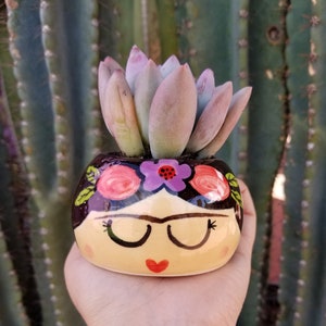 FRIDITA Small Succulent Planter