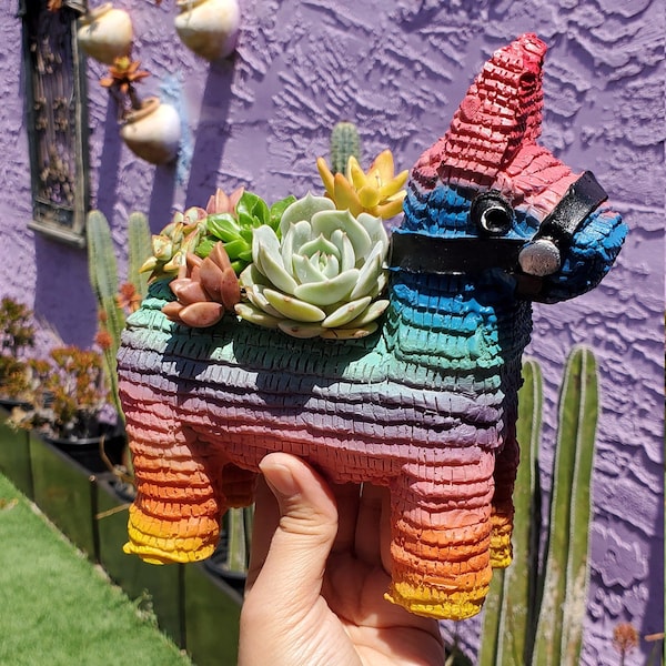 Jardineras Piñata ORIGINALES de Seelene Succulents © Disponibles en 3 tamaños diferentes