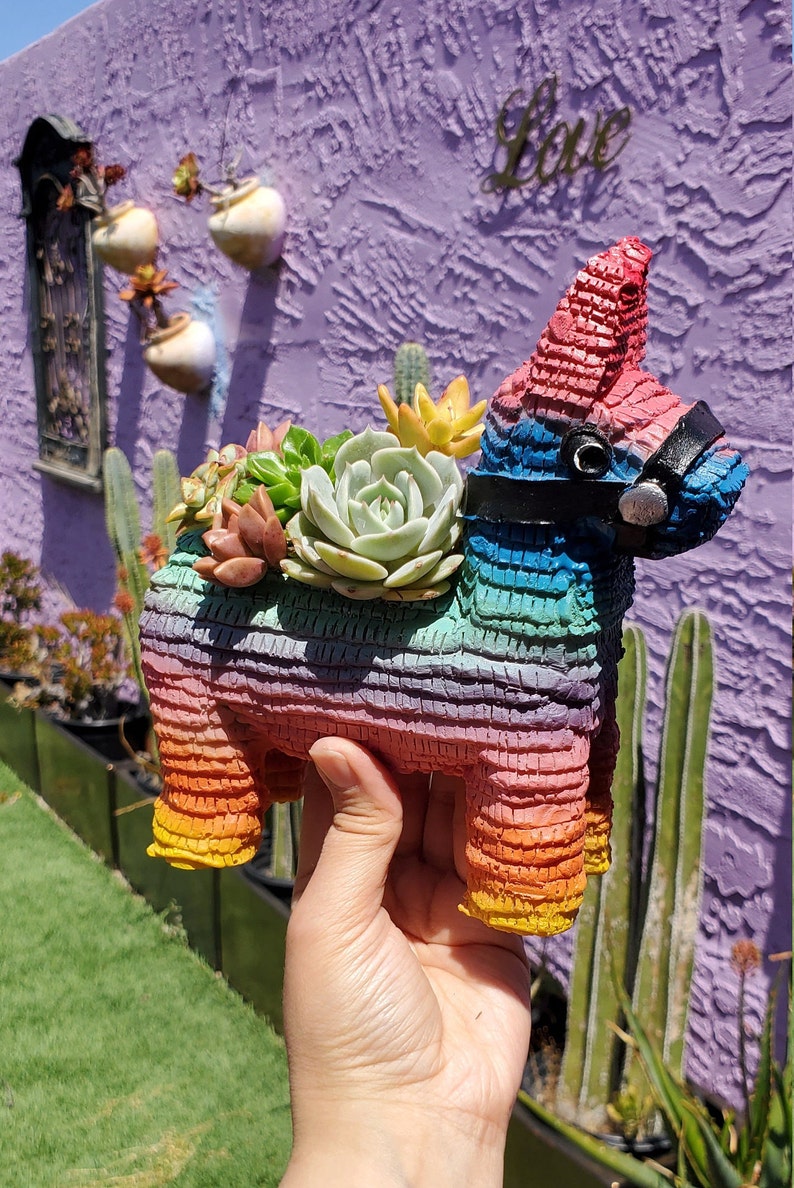 ORIGINELE Piñata plantenbakken van Seelene Succulents © Verkrijgbaar in 3 verschillende maten afbeelding 1